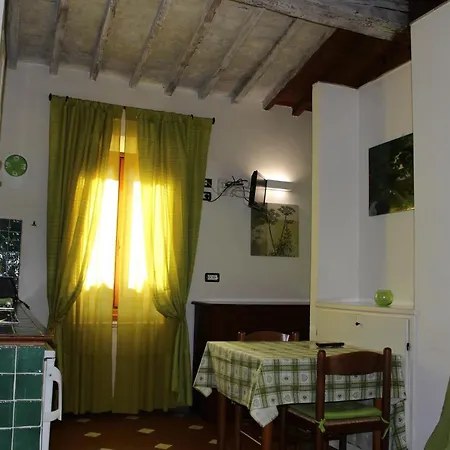 Gmax Guelfa Apartments-2